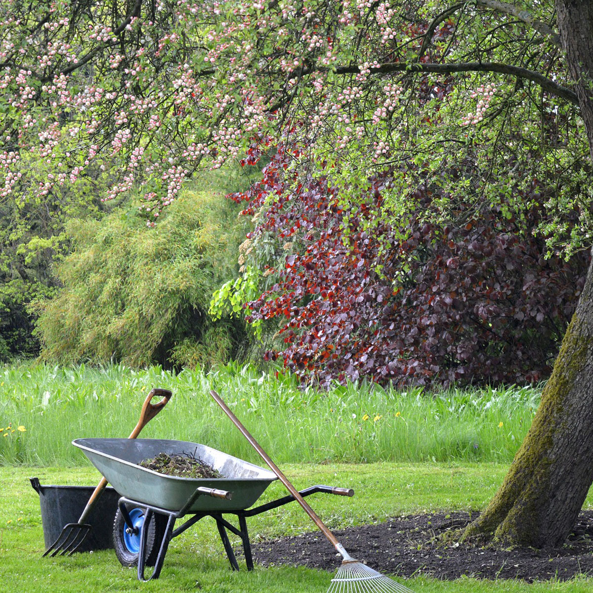 Gartenpflege